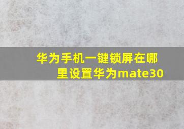 华为手机一键锁屏在哪里设置华为mate30