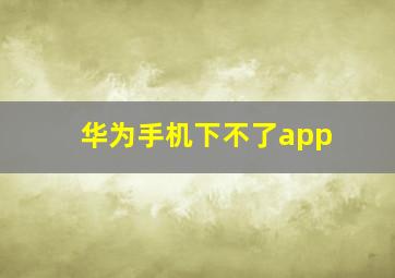 华为手机下不了app