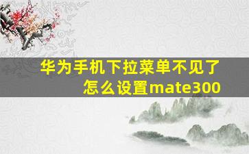 华为手机下拉菜单不见了怎么设置mate300