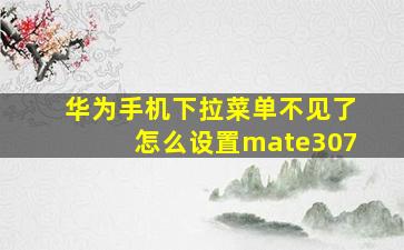 华为手机下拉菜单不见了怎么设置mate307