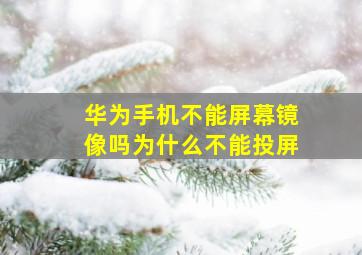 华为手机不能屏幕镜像吗为什么不能投屏