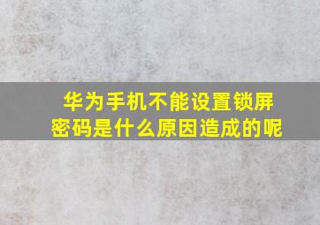 华为手机不能设置锁屏密码是什么原因造成的呢