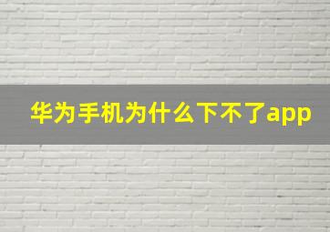 华为手机为什么下不了app