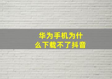 华为手机为什么下载不了抖音