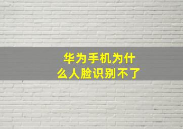 华为手机为什么人脸识别不了