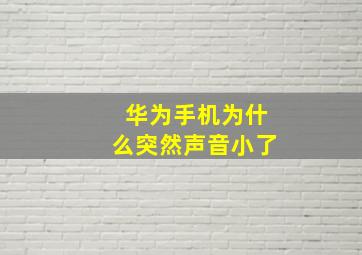 华为手机为什么突然声音小了