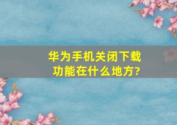 华为手机关闭下载功能在什么地方?