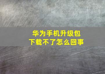 华为手机升级包下载不了怎么回事