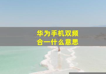 华为手机双频合一什么意思