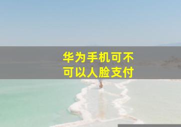 华为手机可不可以人脸支付