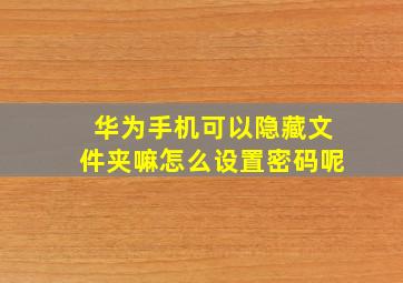 华为手机可以隐藏文件夹嘛怎么设置密码呢