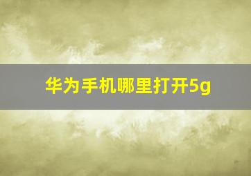 华为手机哪里打开5g