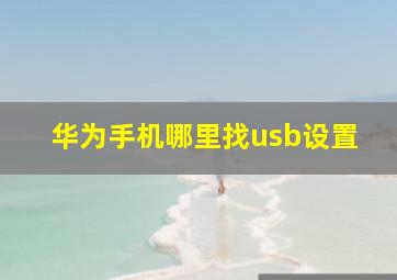 华为手机哪里找usb设置