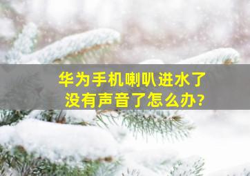 华为手机喇叭进水了没有声音了怎么办?