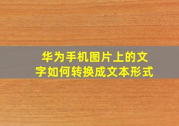 华为手机图片上的文字如何转换成文本形式