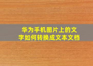 华为手机图片上的文字如何转换成文本文档