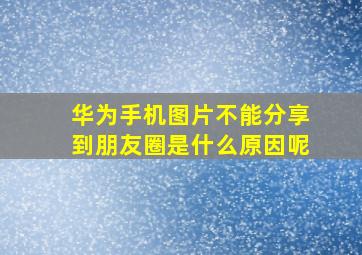 华为手机图片不能分享到朋友圈是什么原因呢