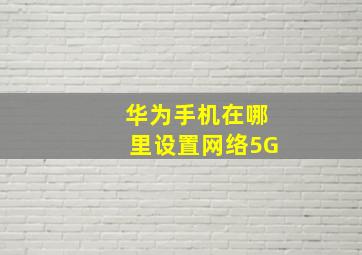 华为手机在哪里设置网络5G