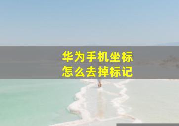 华为手机坐标怎么去掉标记