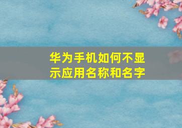 华为手机如何不显示应用名称和名字