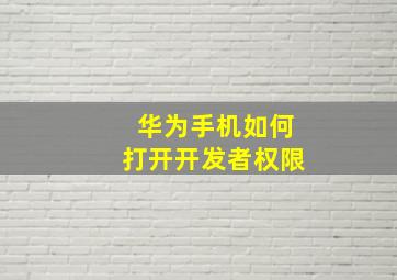 华为手机如何打开开发者权限