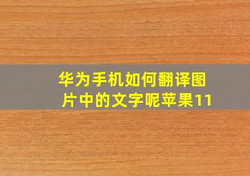 华为手机如何翻译图片中的文字呢苹果11