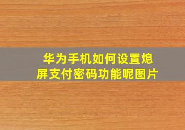 华为手机如何设置熄屏支付密码功能呢图片