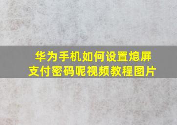 华为手机如何设置熄屏支付密码呢视频教程图片