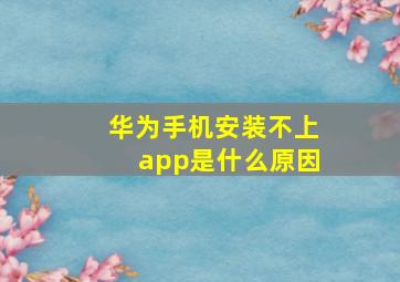 华为手机安装不上app是什么原因