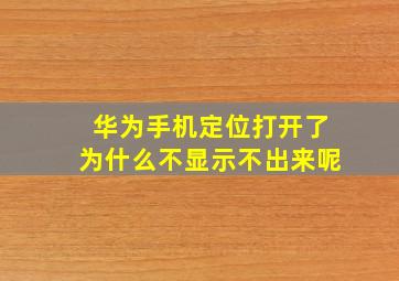 华为手机定位打开了为什么不显示不出来呢