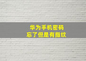 华为手机密码忘了但是有指纹