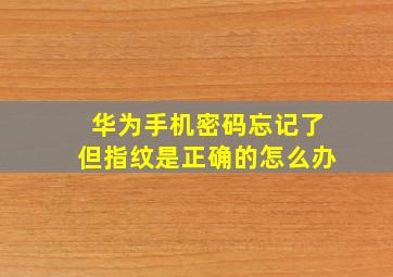 华为手机密码忘记了但指纹是正确的怎么办