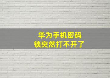 华为手机密码锁突然打不开了