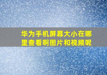 华为手机屏幕大小在哪里查看啊图片和视频呢