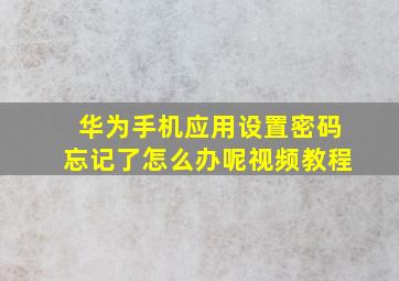 华为手机应用设置密码忘记了怎么办呢视频教程