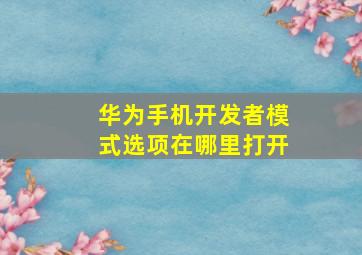 华为手机开发者模式选项在哪里打开