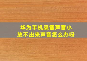 华为手机录音声音小放不出来声音怎么办呀