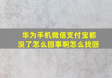 华为手机微信支付宝都没了怎么回事啊怎么找回