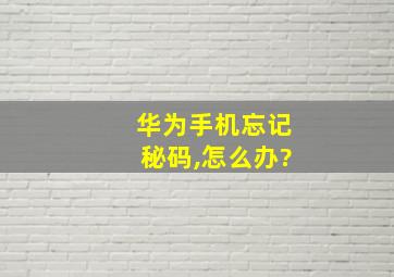 华为手机忘记秘码,怎么办?