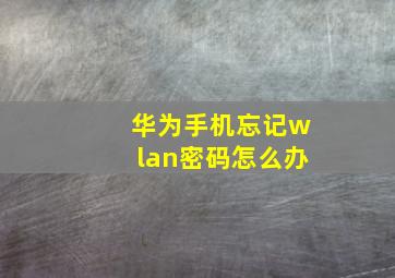 华为手机忘记wlan密码怎么办