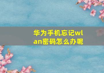 华为手机忘记wlan密码怎么办呢