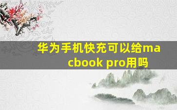 华为手机快充可以给macbook pro用吗