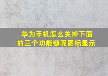 华为手机怎么关掉下面的三个功能键呢图标显示