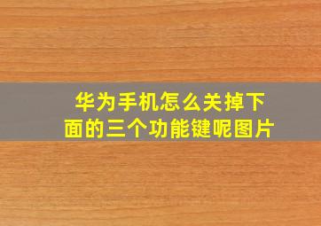 华为手机怎么关掉下面的三个功能键呢图片