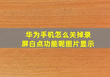 华为手机怎么关掉录屏白点功能呢图片显示