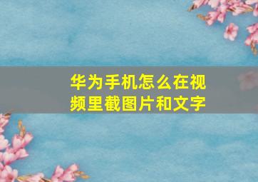 华为手机怎么在视频里截图片和文字