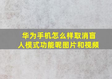 华为手机怎么样取消盲人模式功能呢图片和视频