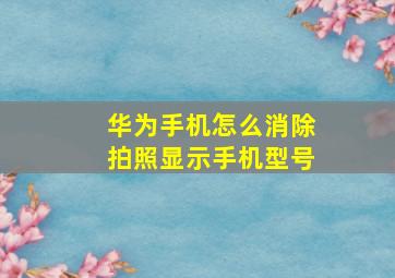 华为手机怎么消除拍照显示手机型号