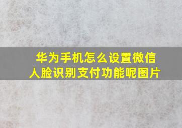 华为手机怎么设置微信人脸识别支付功能呢图片