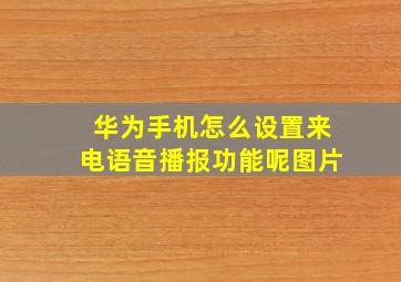 华为手机怎么设置来电语音播报功能呢图片